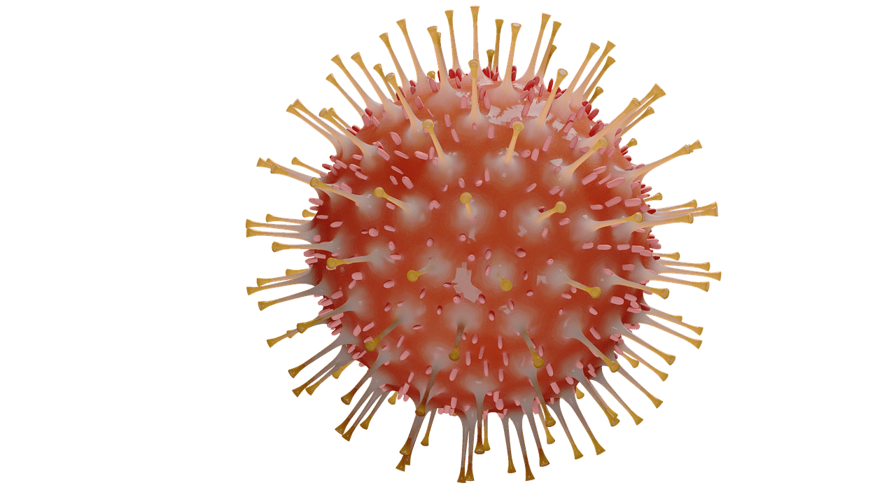 close-up of coronavirus